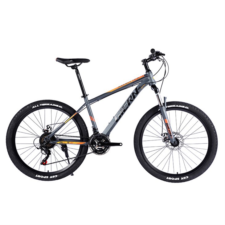Aluminum Alloy Frame Mountain Bike
