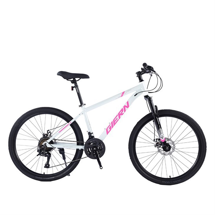 Blue Hardtail Mountain Bike