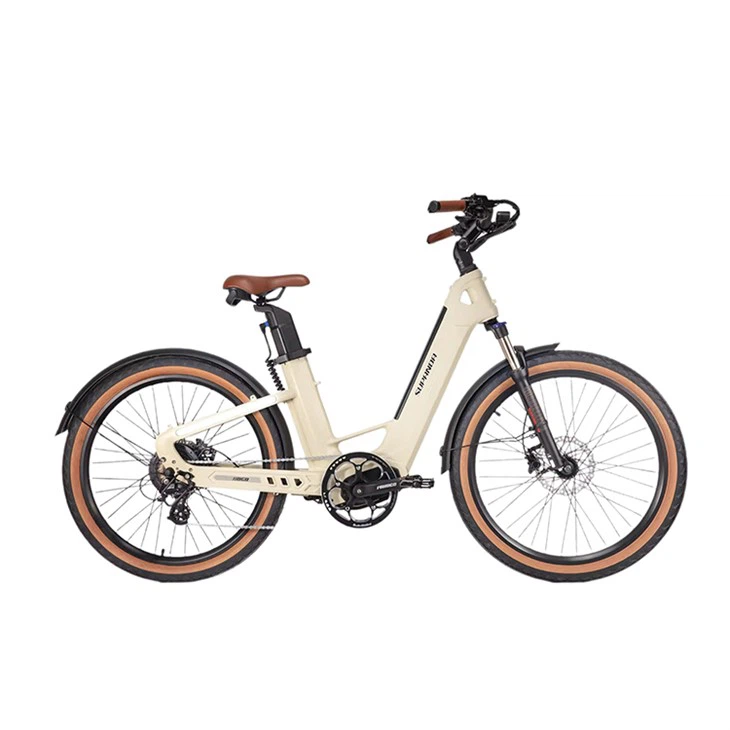 Carbon Fiber Frame Adult City Bike