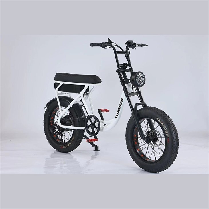 Double Crown Ebike