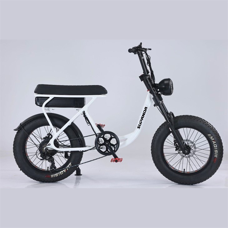 Double Crown Ebike