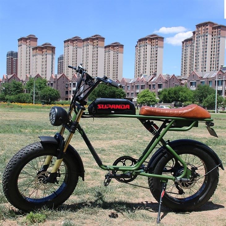 Double Motor Ebike