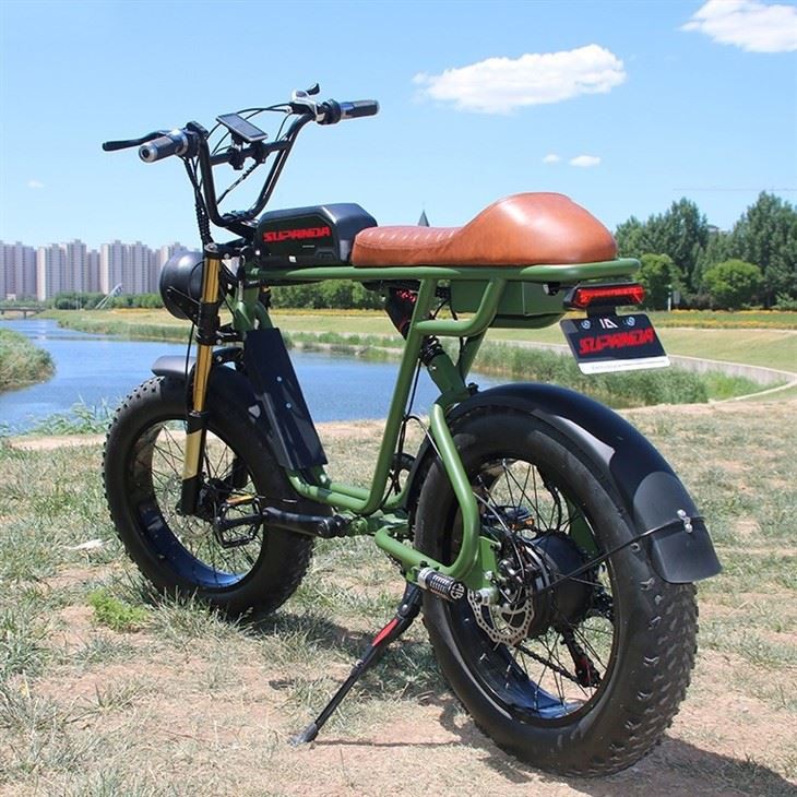 Double Motor Ebike