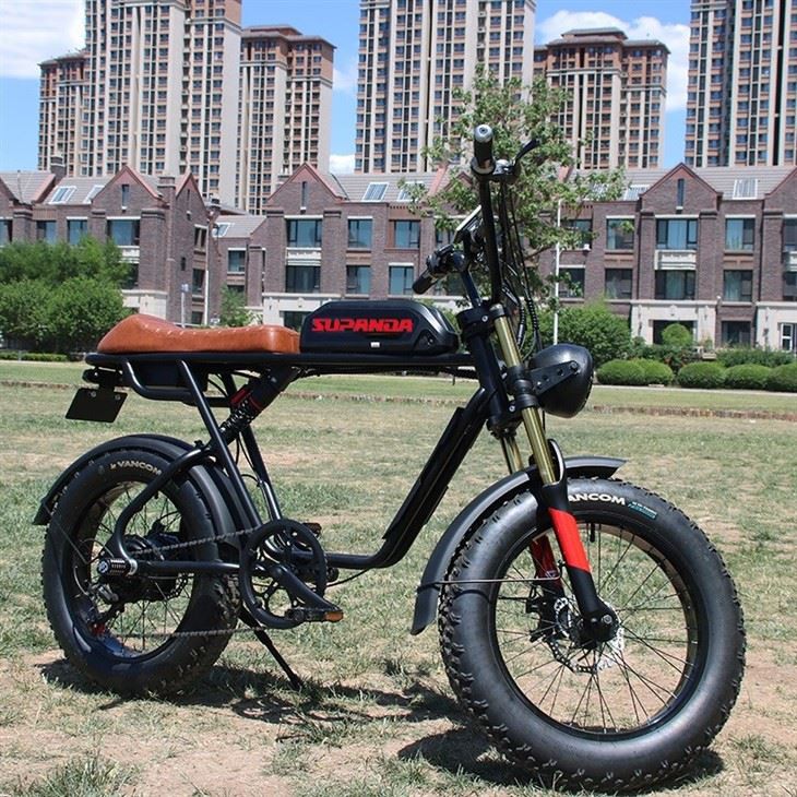 Double Motor Ebike