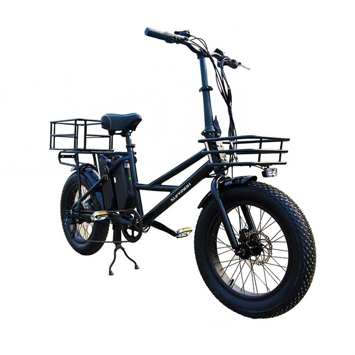 Electric Bike For Cargo 48V 500W Ebike Cargo Family factory