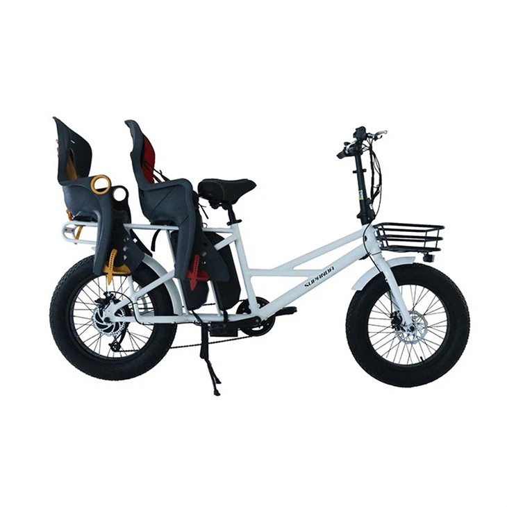 Electric Bike For Cargo 48V 500W Ebike Cargo Family suppliers