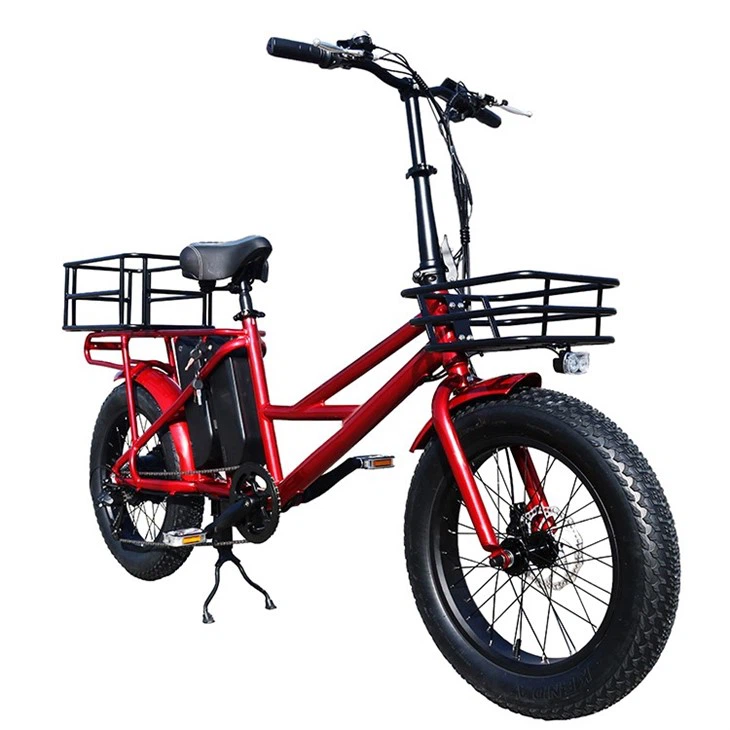 Electric Bike For Cargo 48V 500W Ebike Cargo Family best