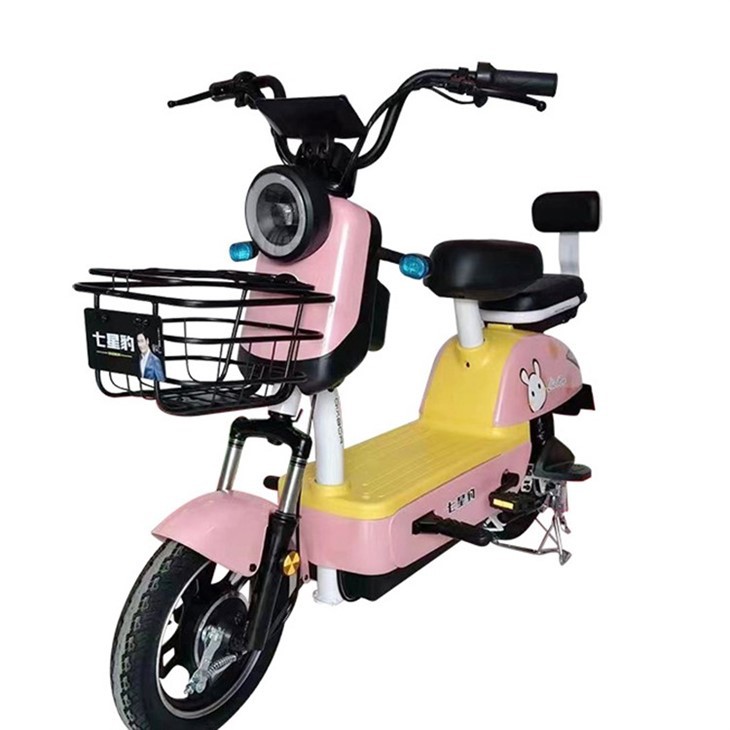 Electric Bike For Students