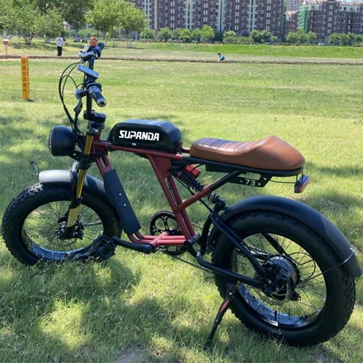 Electric Bike With Double Battery