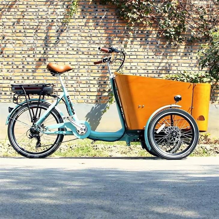 Electric Cargo Delivery Bike