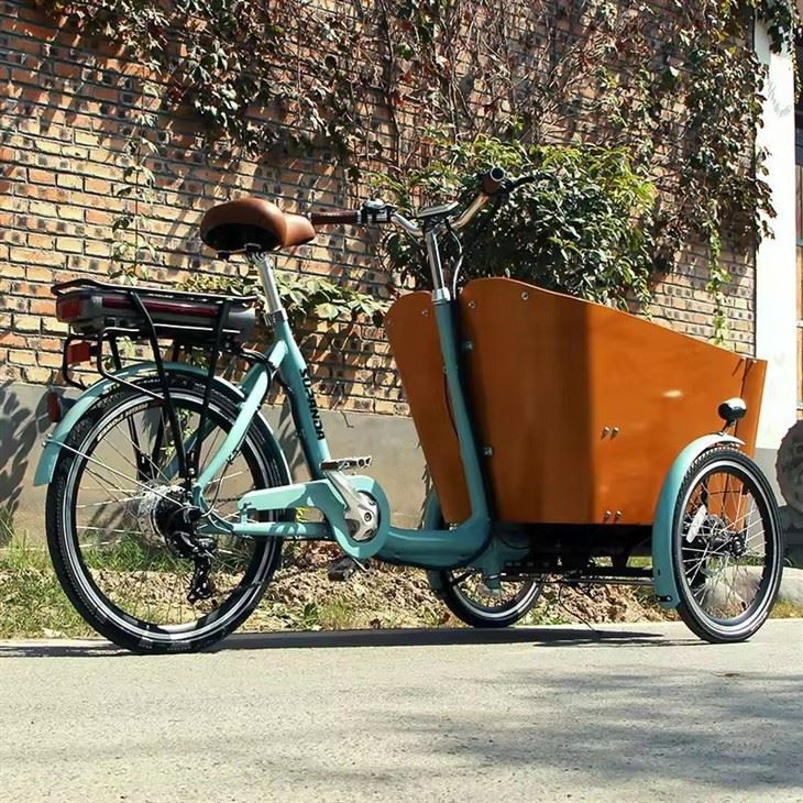 Electric Cargo Delivery Bike