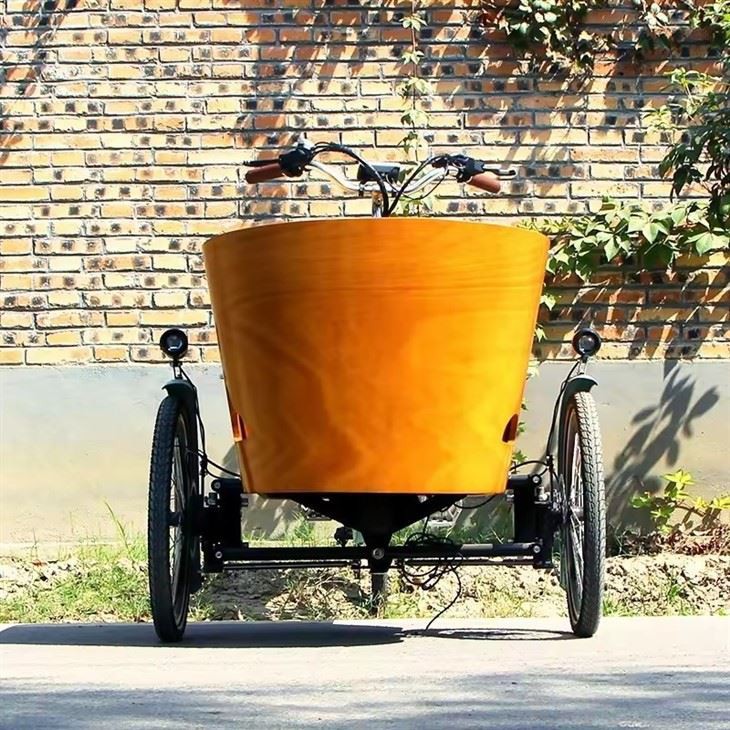 Electric Cargo Delivery Bike