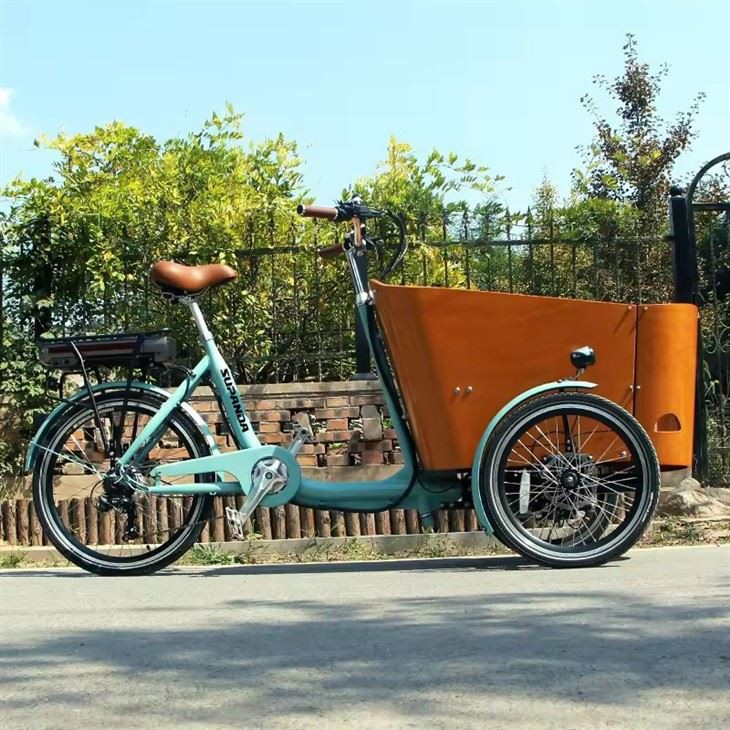 Electric Cargo Delivery Bike