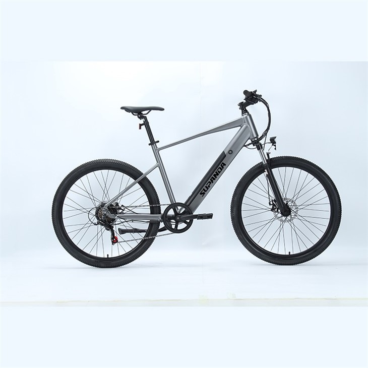 Electric Mountain City Bike