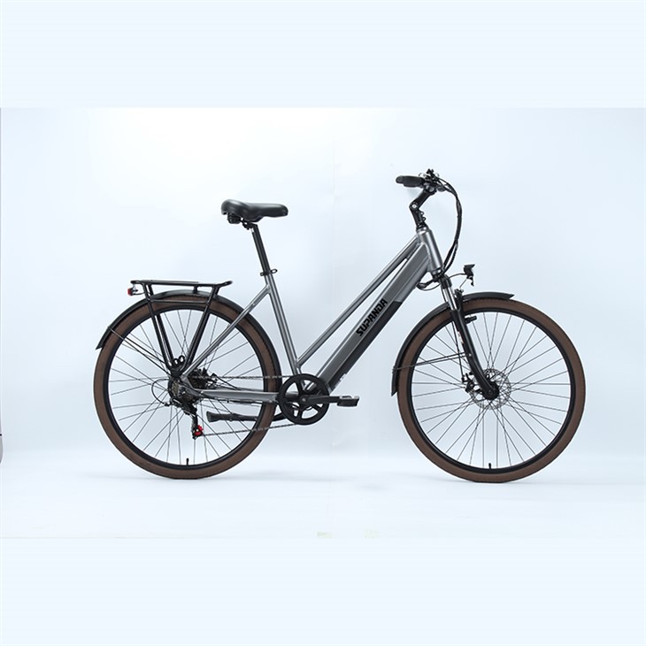 Electric Mountain City Bike