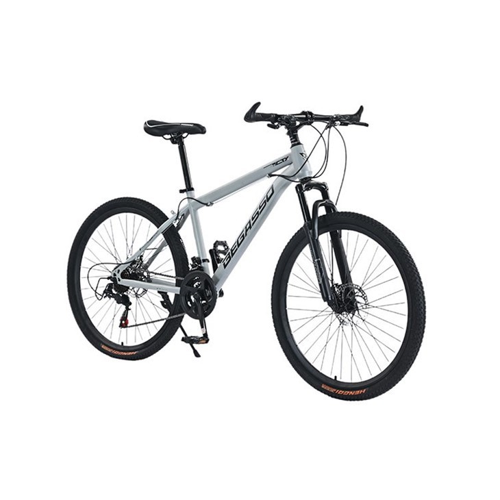 Hardtail 24 Inch Mountain Bike