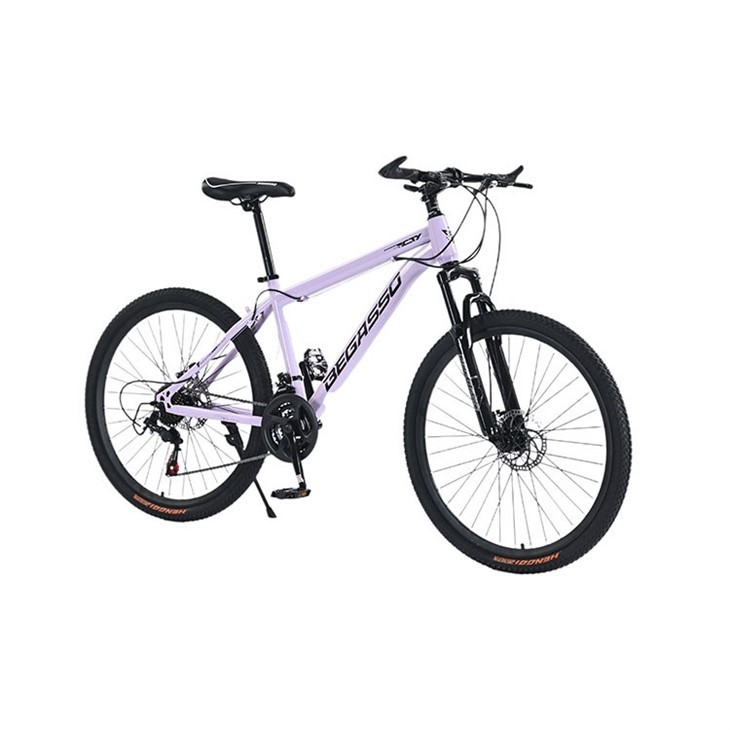 Hardtail 24 Inch Mountain Bike
