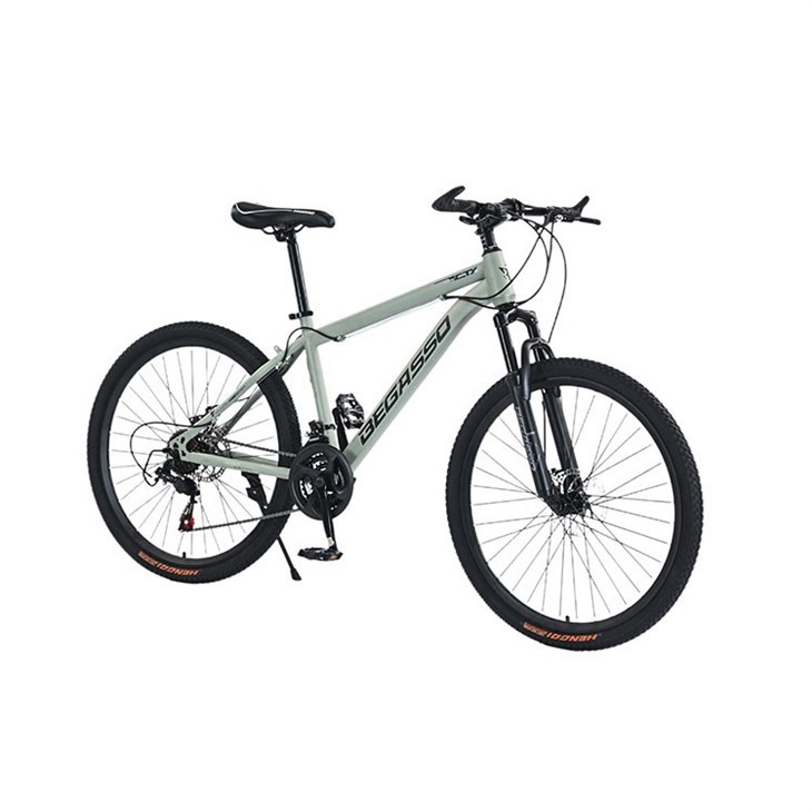 Hardtail 24 Inch Mountain Bike