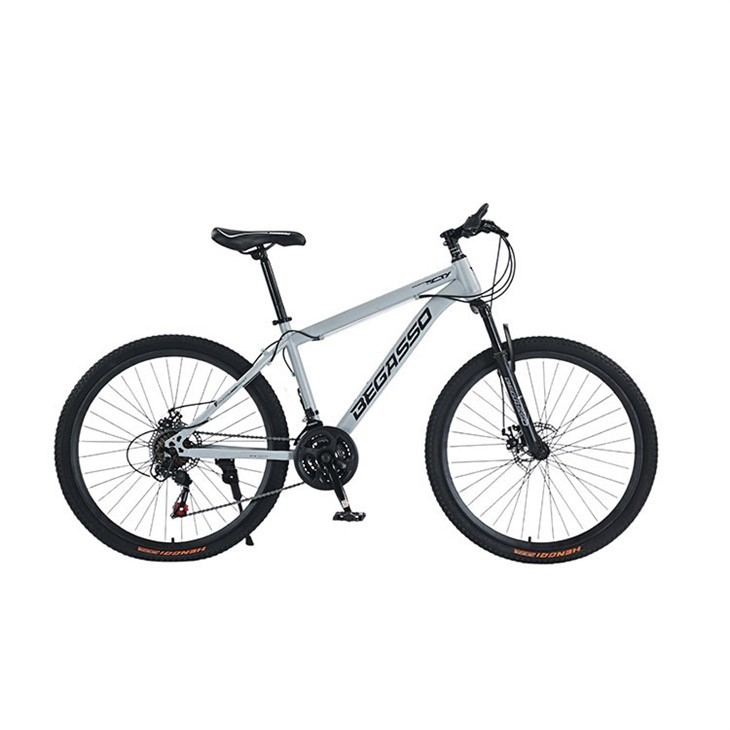 Hardtail 24 Inch Mountain Bike
