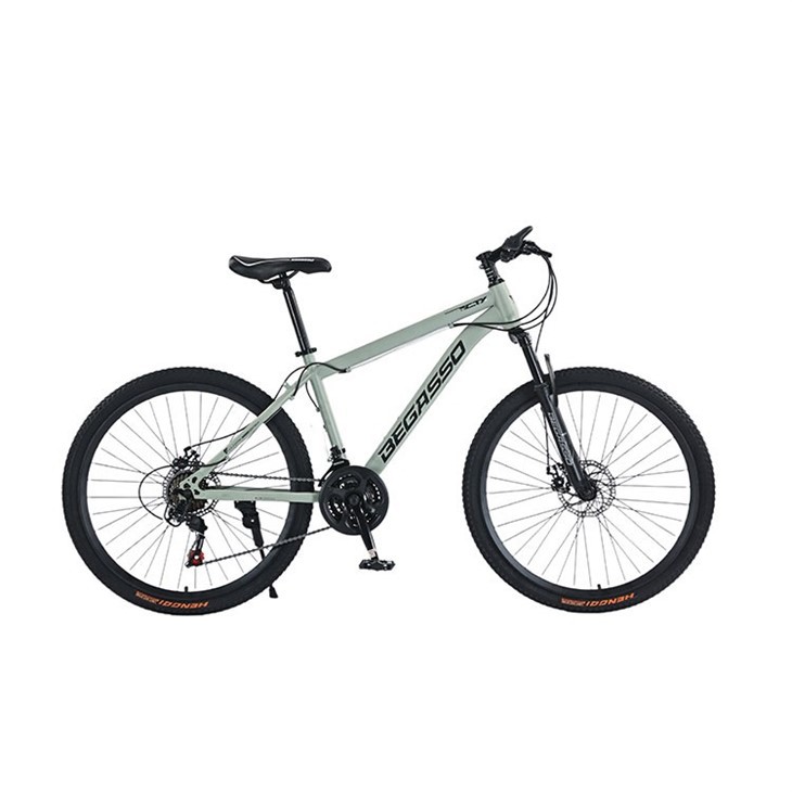 Hardtail 24 Inch Mountain Bike