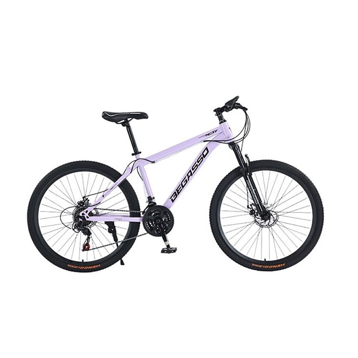 Hardtail 24 Inch Mountain Bike