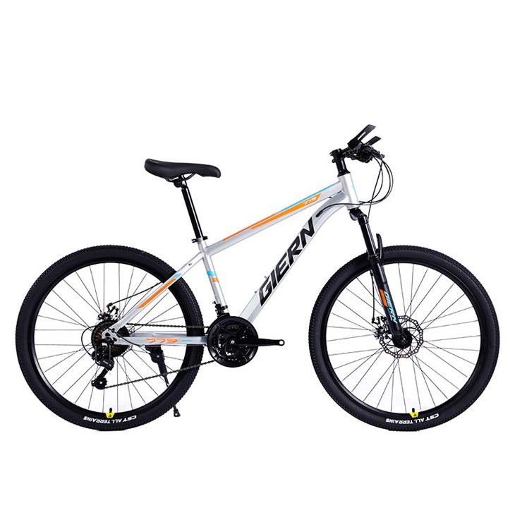 Hardtail Mountain Bike 26 Inch