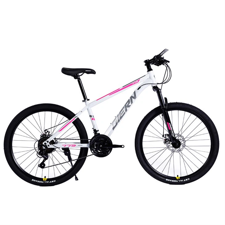 Hardtail Mountain Bike 26 Inch
