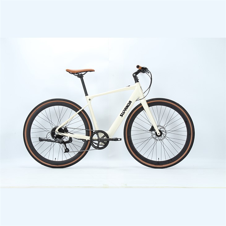 Hybrid Frame Electric Bike