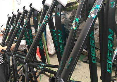 Who Is the Biggest Bicycle Manufacturer?