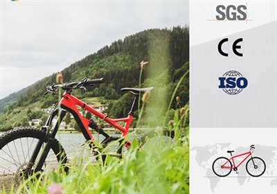 Quality Testing of Mountain Bikes