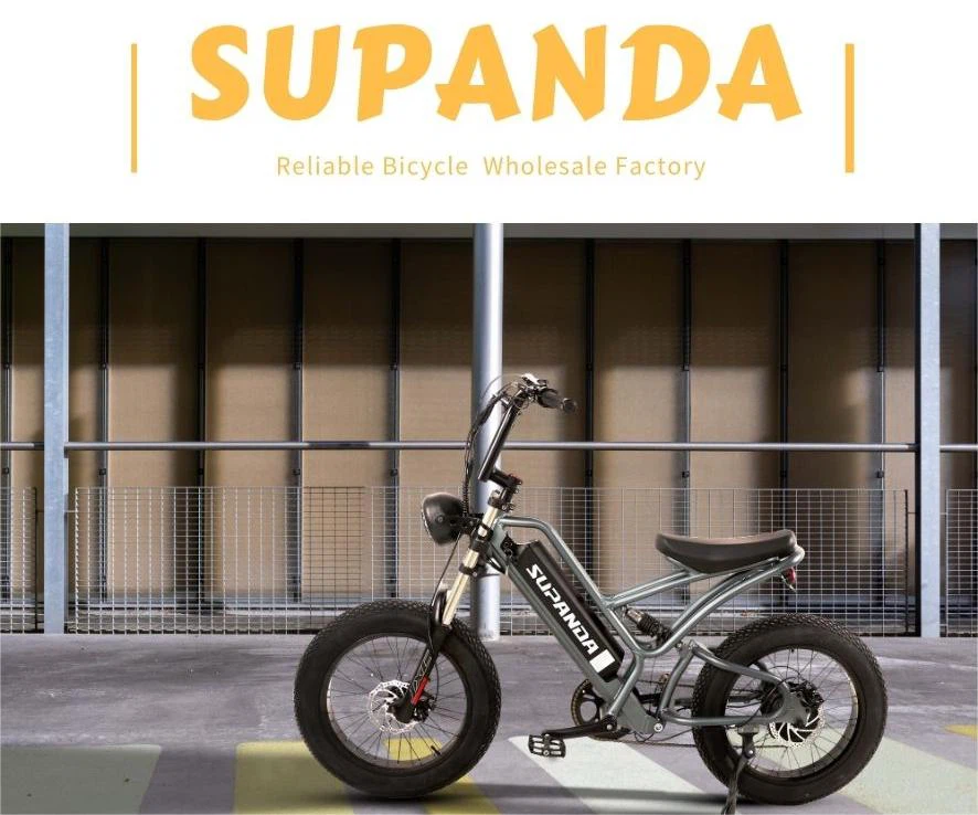 info-886-738 info-886-738