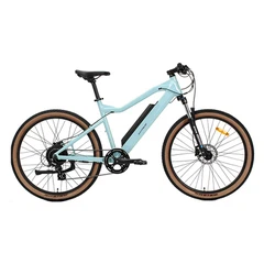Electric Bikes
