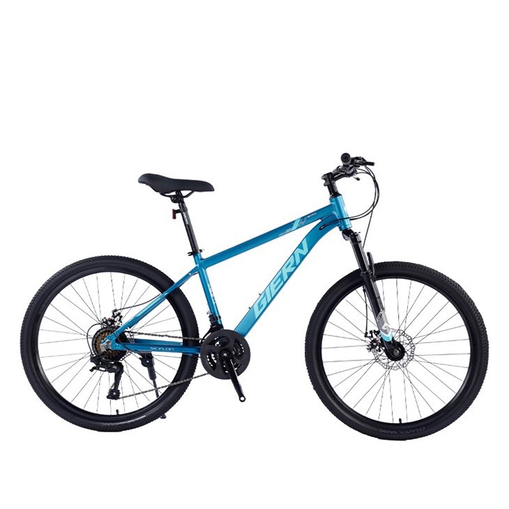 Mountain Bike Aluminum Alloy Frame
