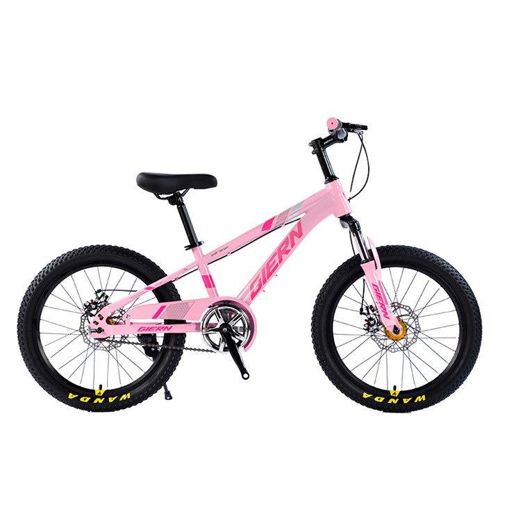 Pink Hardtail Mountain Bike