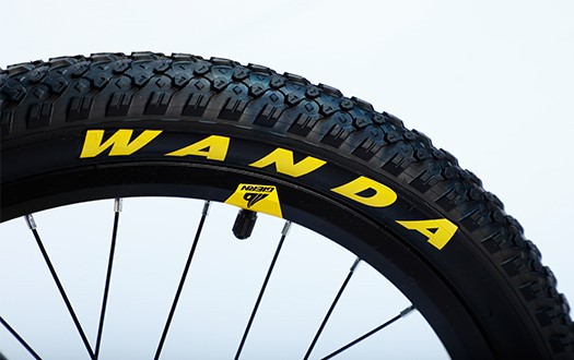 WANDA tire mountain bike tire