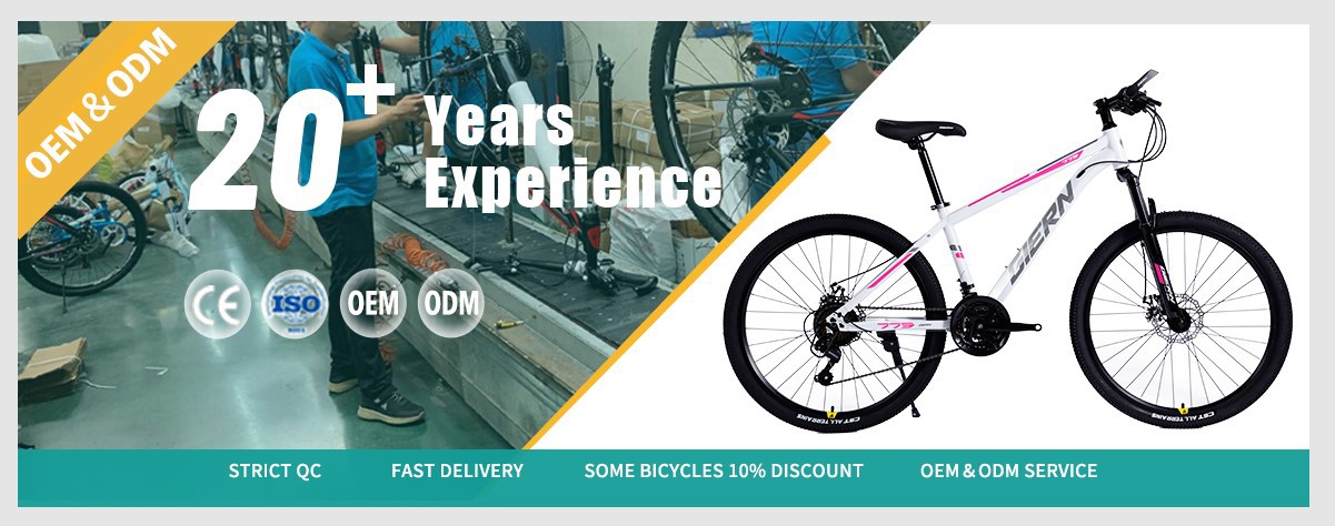 white hardtail mountain bike