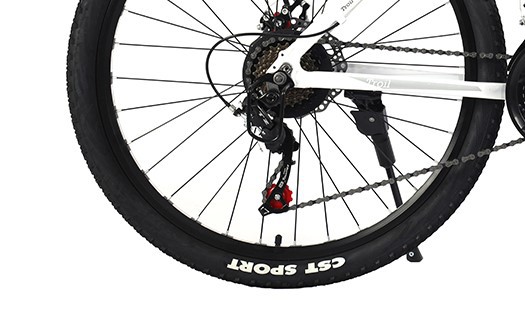 CST mountain bike tire
