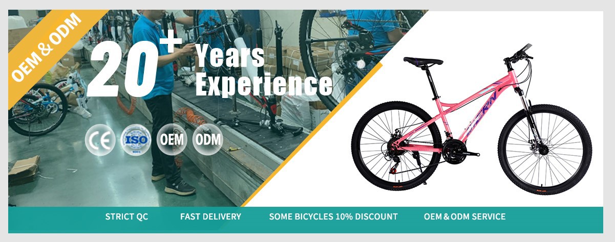 women suspension mountain bike