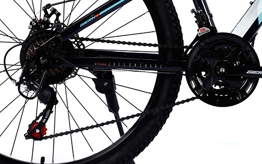 Derailleur system Derailleur system