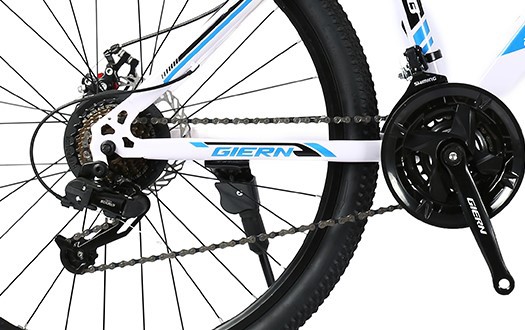 disc brake and Derailleur