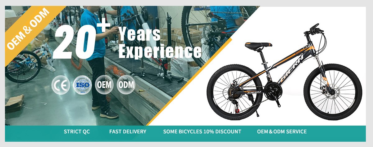 hardtail mountain bike for teenager