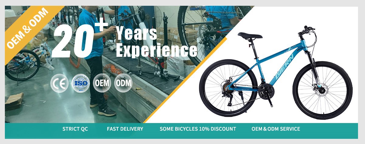 blue Hardtail mountain bike wholesale