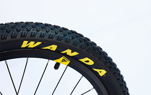 WANDA TIRE