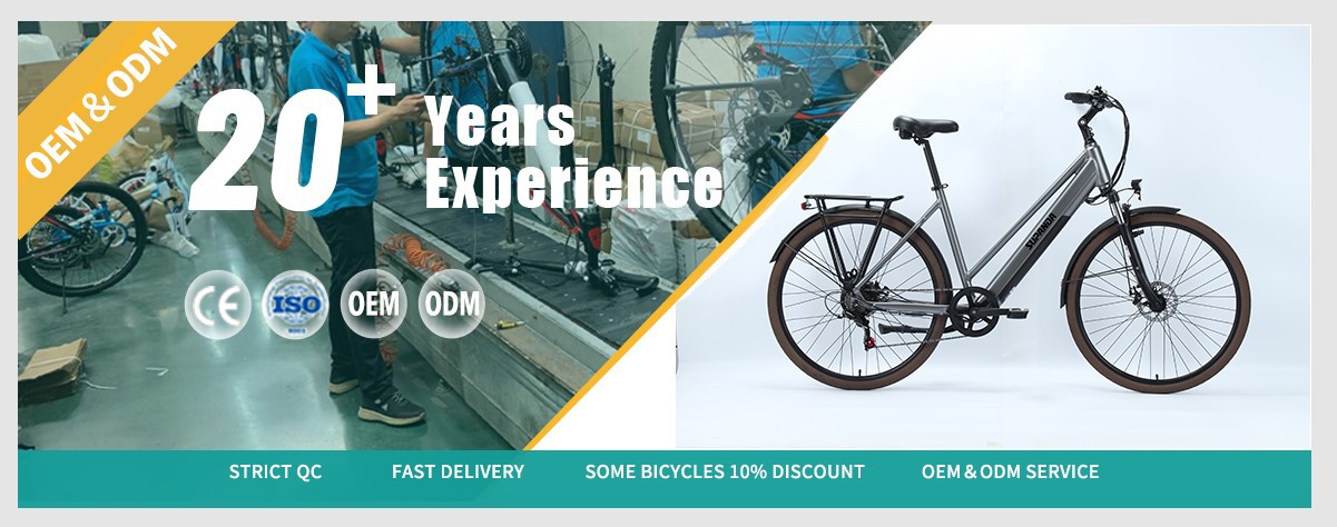 electric City bike manufacture electric City bike manufacture