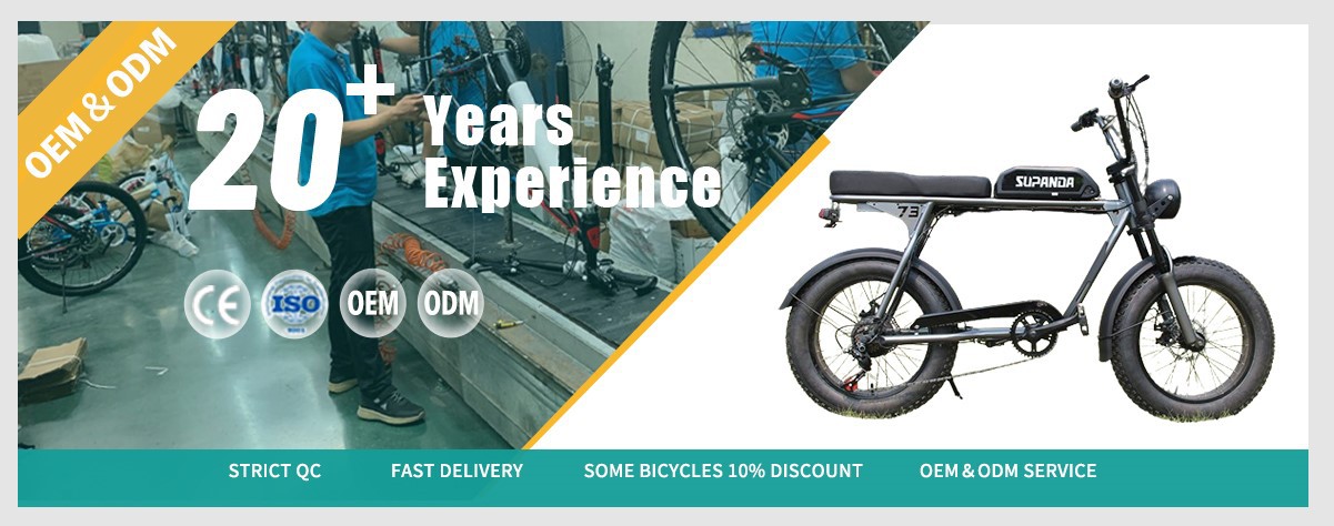 electric mountain Bike wholesale factory