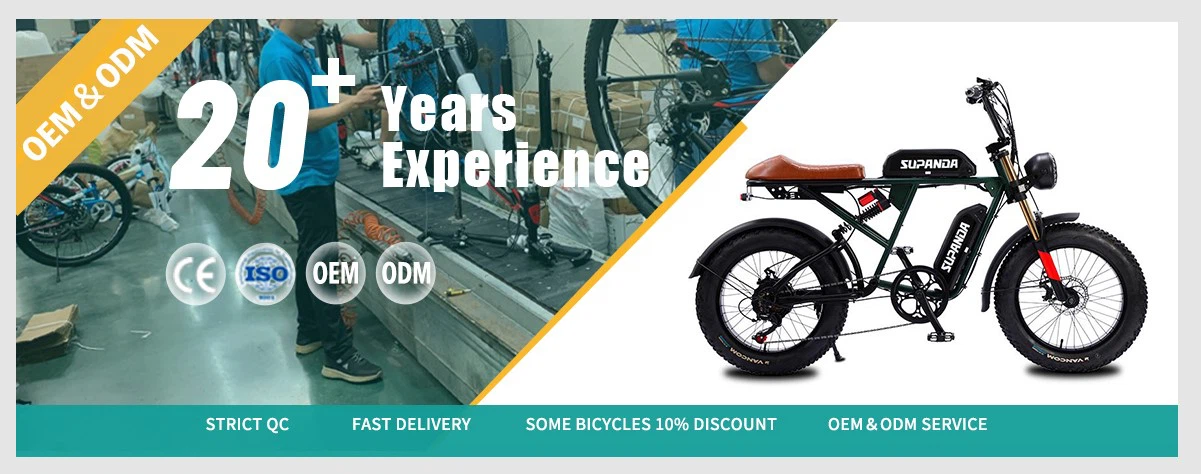 full suspension double motor electric mountain bike