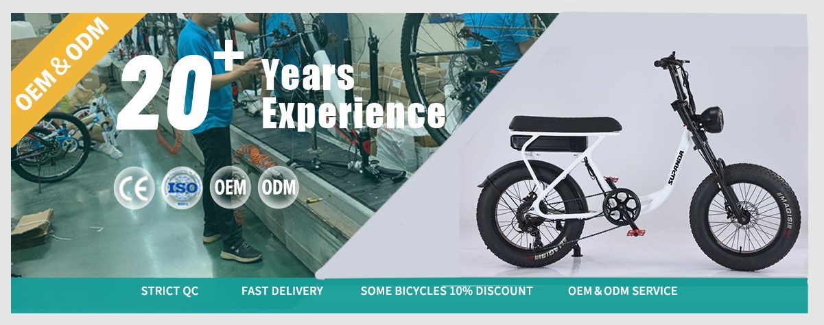 electric city bike manufacture