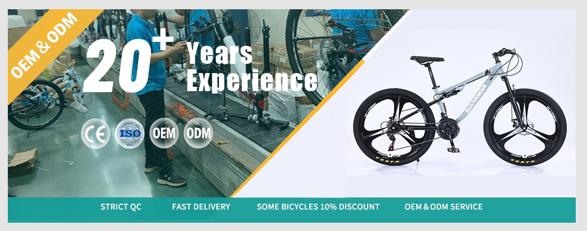 integrated wheels full suspension mountain bike