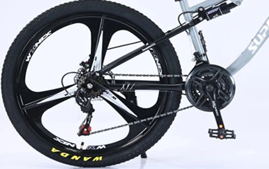 WANDA tire and derailleur