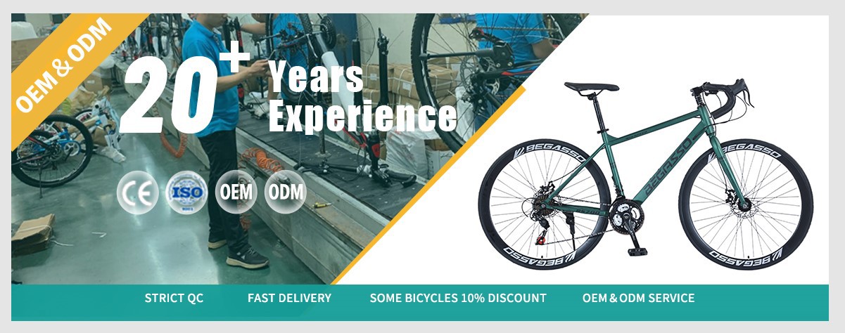 road bike for adults